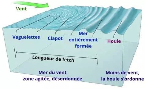 Houle